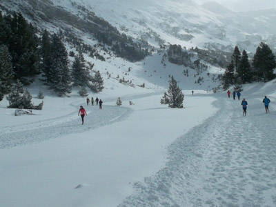 Snow Trail 2 Heaven